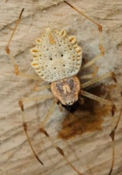 ҧ����ֳ��֮�������Ѹ�����ж��������ݣ����Ը��õظ��߾����ߣ������ոջ��е���ż��