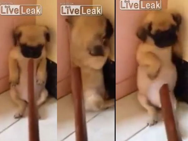 ����贫һ�������ù���Ű����ӰƬ ����С������ǽ�ǲ�ͣ����