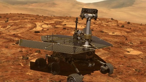 ������֡������š����ǳ��Ѿ��ڻ����ϡ�����������ʮ������������������