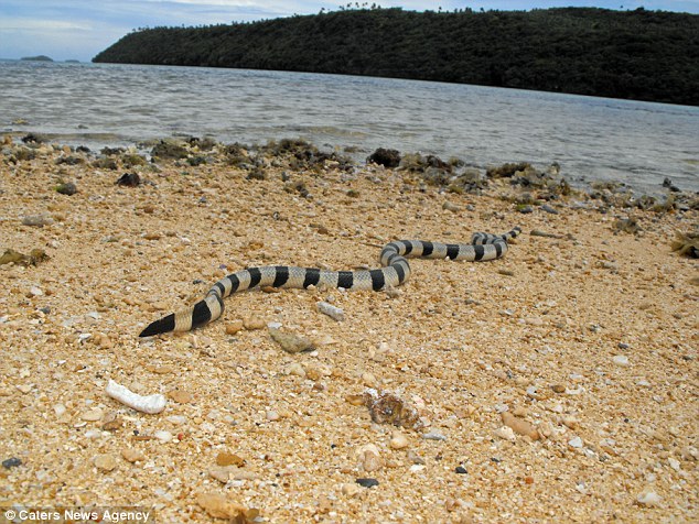 ��������ѧ������̫ƽ��С��ͽ��ץ������������ߺ���