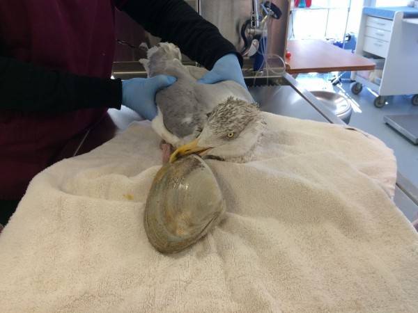 ��������ɣ�Ϻ�̲�����ְ���������ʵ����