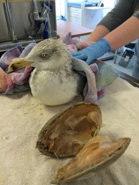 �����ÿ�ʱ��������Ϊ�Ͳ�ס���¶�������