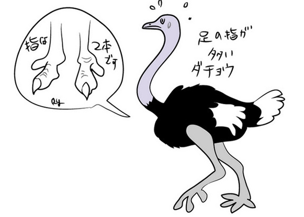 有动物园网站将鸵鸟脚画成“恐龙脚”
