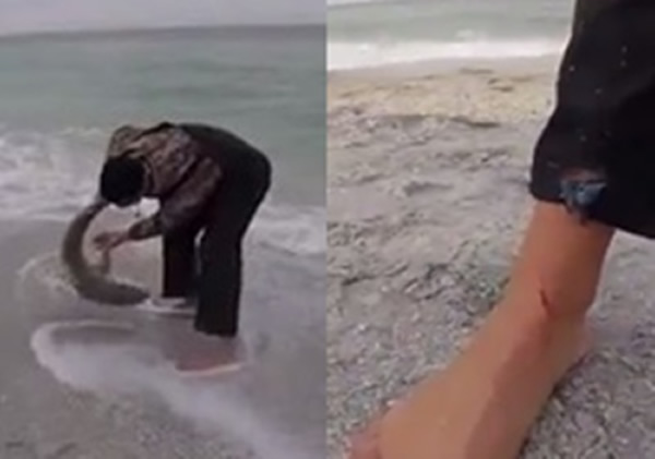 小鲨鱼反咬该男队员一口