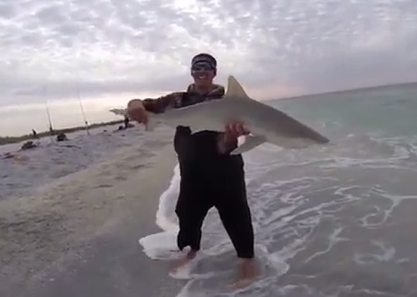 男子成功与鲨鱼拍下合照