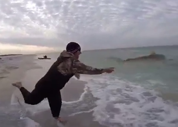 男子一手把小鲨鱼抛回大海