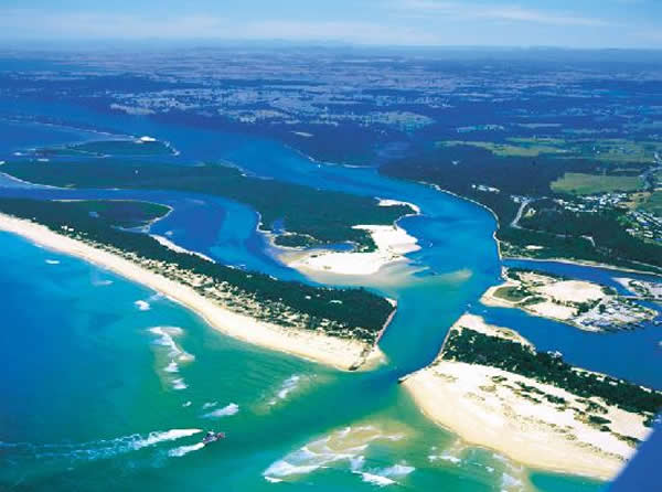 渔民在吉普斯兰湖(图)发现这条皱鳃鲨