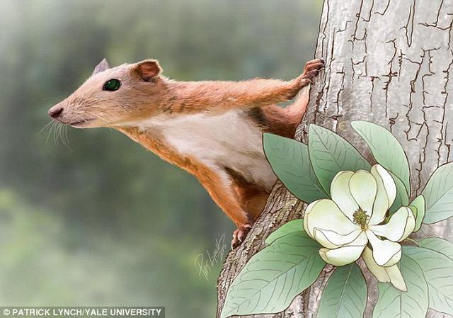 6500万年前最早期灵长目动物“加托里猴”是一种类似于松鼠的树栖哺乳动物