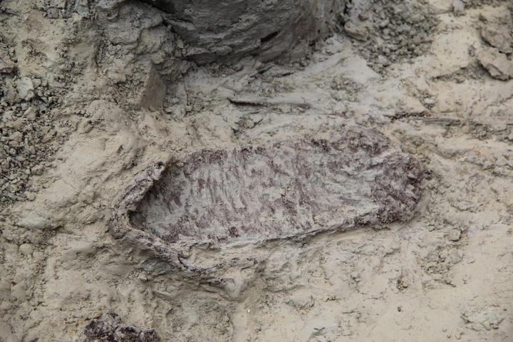 千年前的草鞋是当年筑海塘者留下来的么?