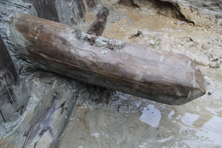 粗壮的木头是滉柱么?