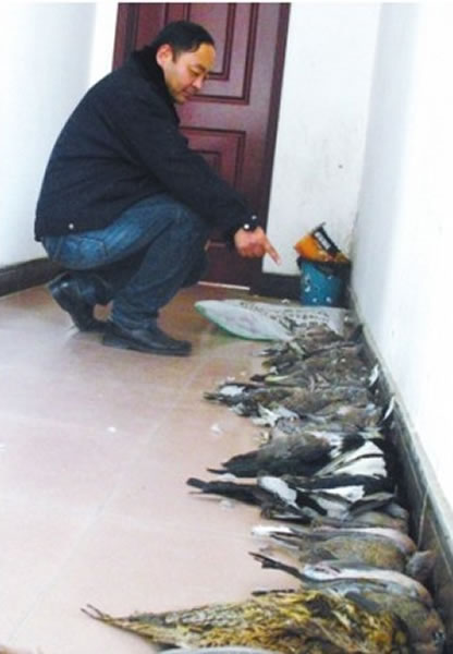 ����ʡ�����ɭ�ֹ�����ץ��Ƿ�����49ֻҰ�������������