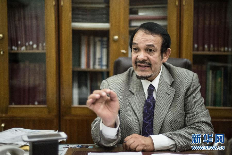 1月23日,在埃及首都开罗,埃及博物馆总经理马哈茂德·哈尔瓦吉接受采访。