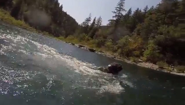 ��ֻ�ɿ���ɫ�����������ó�Ǳˮ