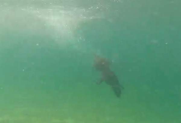 է��֮�»���Ϊ�Ǻ�����