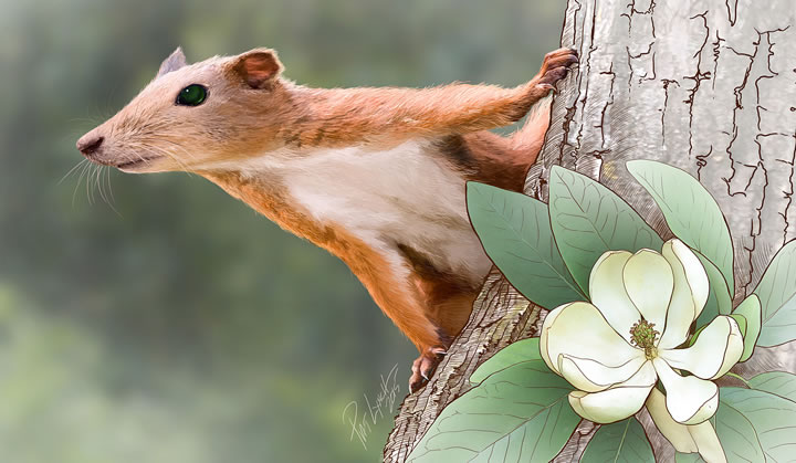 从脚踝骨的化石显示,地球上最早的灵长类动物生活在树上。图为普尔加托里猴(学名Purgatorius)的画像。