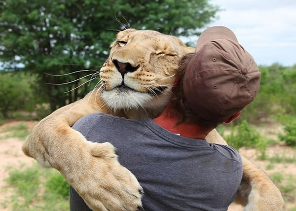 母狮斯尔加(左)与保育员格吕纳(右)深情拥抱。