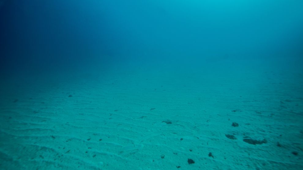 珊瑚礁消失会带来极为严重的后果。珊瑚礁仅占洋底面积的千分之一,但是全世界的鱼类中有四分之一以珊瑚礁为栖地。 Photograph by Spencer Mill