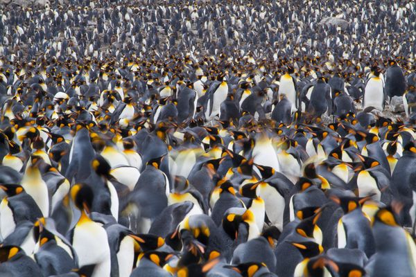 �������Ⱥ�����������ǵ�ʥ����³˹��ĺ�̲�ϡ�