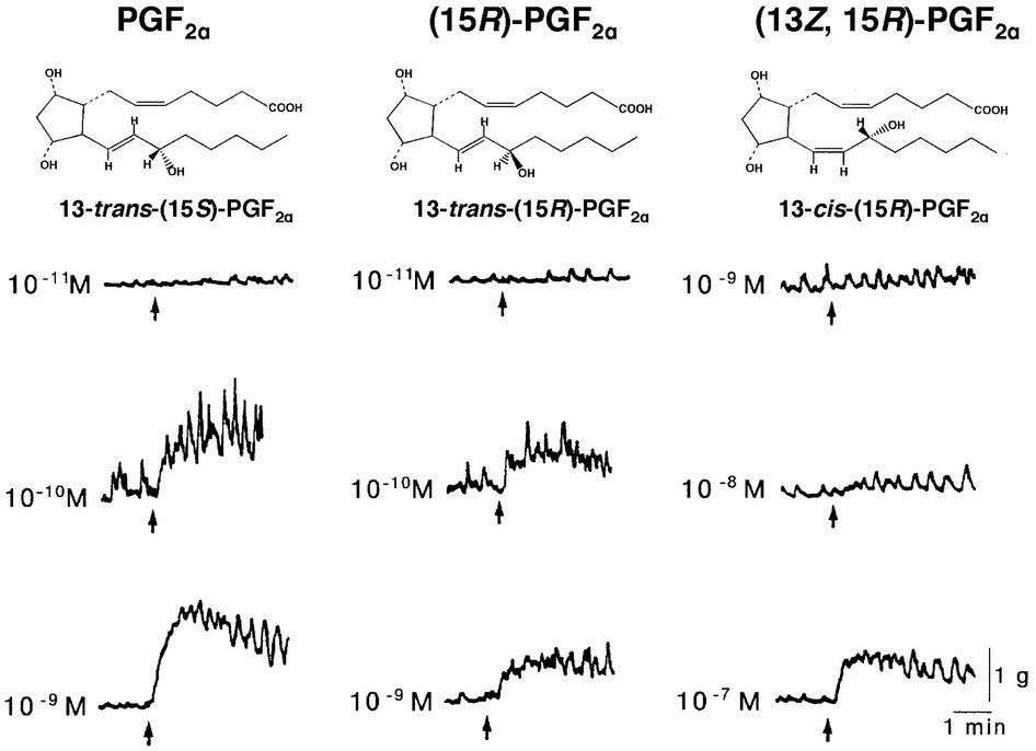 日本研究人员弄清鸟类独特的受精机制