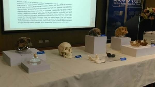 台湾研究团队在澎湖水道海域发现“澎湖原人”人骨化石