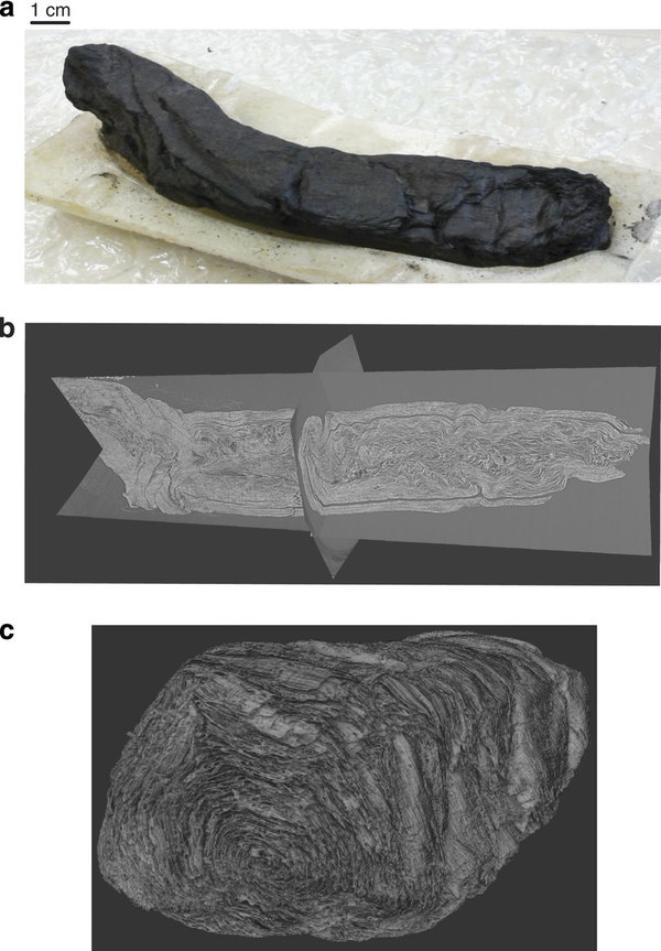 ���ø���X���߼������ƻ��Ե��Ķ����ս��Ĺ����ı�