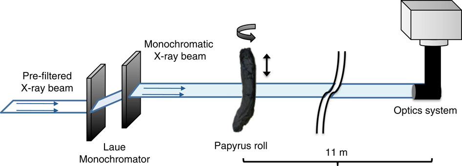 ���ø���X���߼������ƻ��Ե��Ķ����ս��Ĺ����ı�