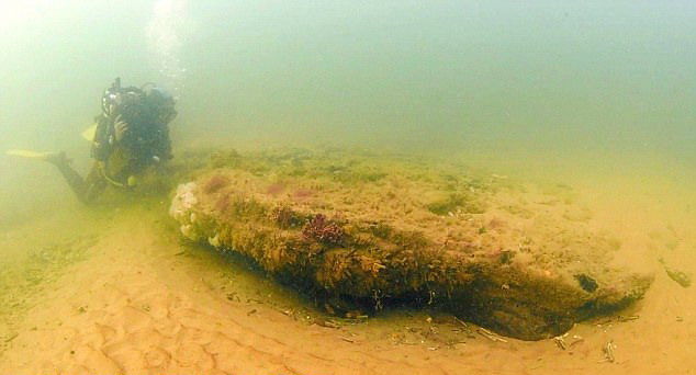 沃森在诺福克郡的北海潜水时,发现8米长的完整橡树。