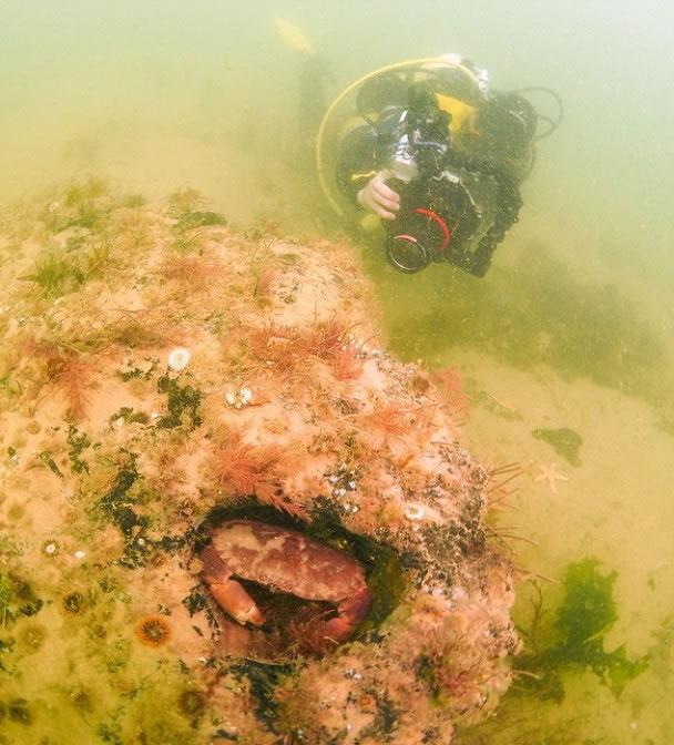 沃森希望透过放射性碳定年法,确定橡树的实际年龄。