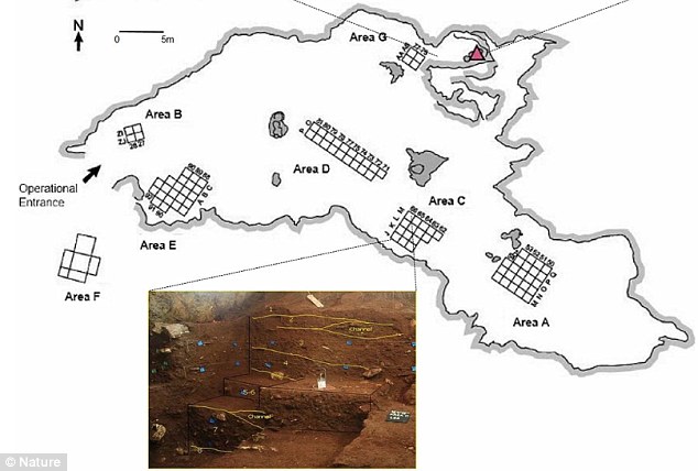 ��ѧ������ɫ�з���һ55000��ǰ������ͷ�ǹǻ�ʯ���о���Ա��Ϊ�����������ʷ��һ���ش��֣�֤����������Դ�ڷ��ޡ�