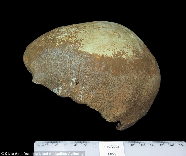 ��ѧ������ɫ�з���һ55000��ǰ������ͷ�ǹǻ�ʯ���о���Ա��Ϊ�����������ʷ��һ���ش��֣�֤����������Դ�ڷ��ޡ�