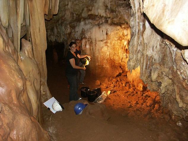 ��ѧ������ɫ�з���һ55000��ǰ������ͷ�ǹǻ�ʯ���о���Ա��Ϊ�����������ʷ��һ���ش��֣�֤����������Դ�ڷ��ޡ�