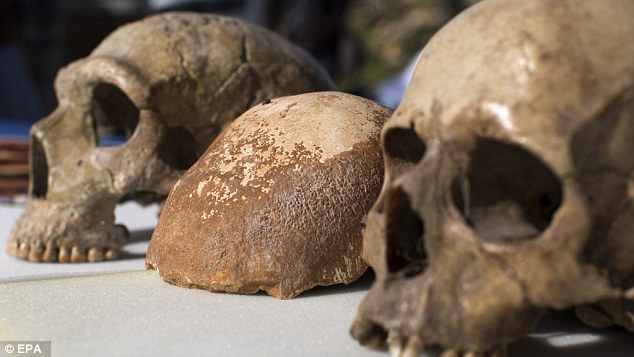 科学家在以色列发现一55000年前的人类头盖骨化石，研究人员认为这是人类进化史上一次重大发现，证明了人类起源于非洲。