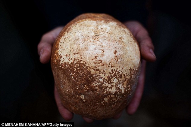 ��ѧ������ɫ�з���һ55000��ǰ������ͷ�ǹǻ�ʯ���о���Ա��Ϊ�����������ʷ��һ���ش��֣�֤����������Դ�ڷ��ޡ�