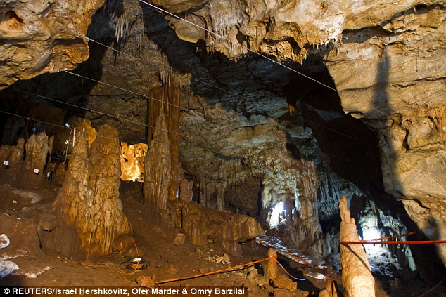 ��ѧ������ɫ�з���һ55000��ǰ������ͷ�ǹǻ�ʯ���о���Ա��Ϊ�����������ʷ��һ���ش��֣�֤����������Դ�ڷ��ޡ�