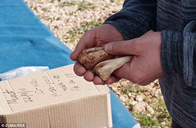 ��ѧ������ɫ�з���һ55000��ǰ������ͷ�ǹǻ�ʯ���о���Ա��Ϊ�����������ʷ��һ���ش��֣�֤����������Դ�ڷ��ޡ�