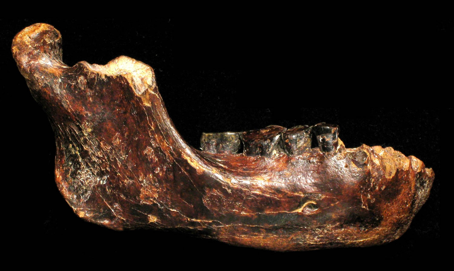 Ŀǰ��������̨�庣�����ˮ��������ҵʱ����ط���һ��Զ�����������ʯ��ר���Ʋ�����ʷ��׷����20����ǰ������һ�����ǻ�ʯ(ͼ����ʾ)������λ�þ��뺣��24����