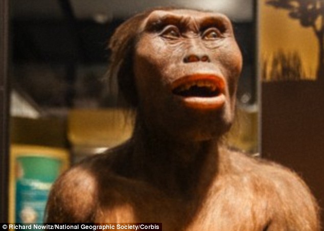 �������·��ֱ�������������ǡ���ֱ���˵��Ǹ���ʵ������ͼ����ֱ����ģ�͡�