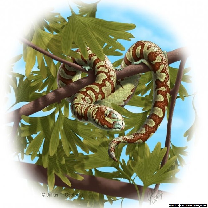 ����1.7����ǰ�����໯ʯ ӵ��������