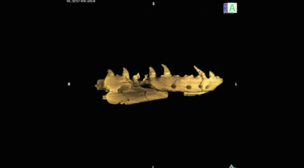 ����1.7����ǰ�����໯ʯ ӵ��������