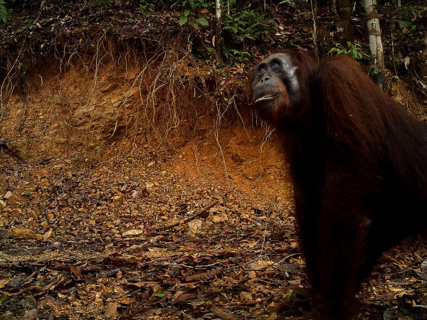 ȴֵоëɿܱȿѧʶĸԸ