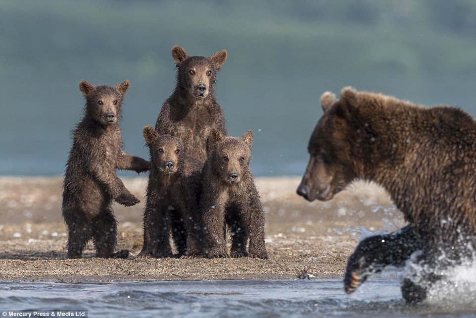 ˹ǧӰʦSergey Ivanov㵽ͷܱڰ߹ۿְֲܰĳӷǳɰ