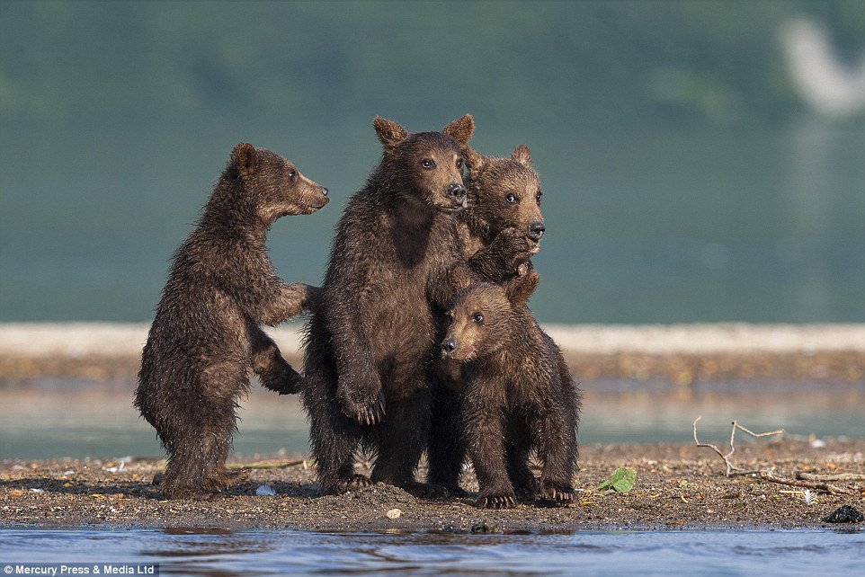 ˹ǧӰʦSergey Ivanov㵽ͷܱڰ߹ۿְֲܰĳӷǳɰ