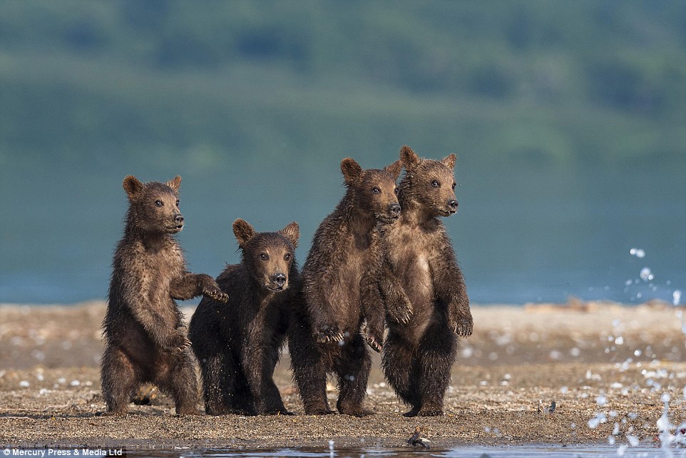 ˹ǧӰʦSergey Ivanov㵽ͷܱڰ߹ۿְֲܰĳӷǳɰ