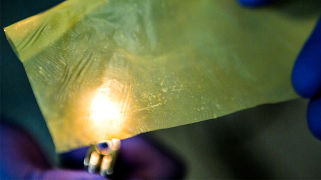 ������Ъ����ѧ���������������