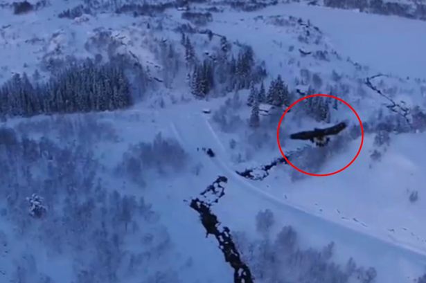 Ų��һ�����˻��������