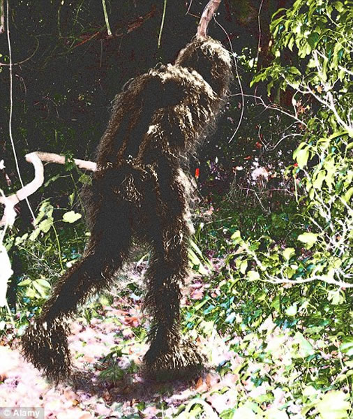 华盛顿州出现的大脚野人,2014年,密西西比州森林中出现一个不同于人类的大脚印,人们猜测这可能是大脚野人足迹;