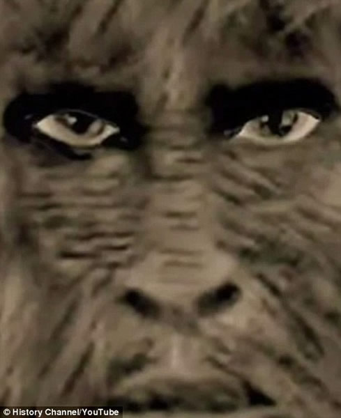 路易斯安那州最恐怖的“蜂岛交换怪兽”