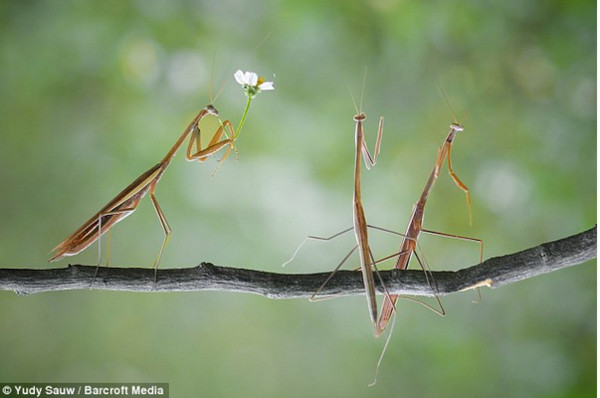 ��������ʵ�Ǵ���룬����Ҳ����Ϊ����ץס�ġ�