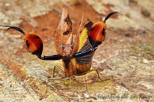 ��Ҫ����վ���������Ǳ��������·��нϴ��������������������������µġ�ȭ����롹�������С���������ķ�̯��������Ϊ�˽������ĵĹ�ϵ������Ȼ���ء����´��ӽ��·���