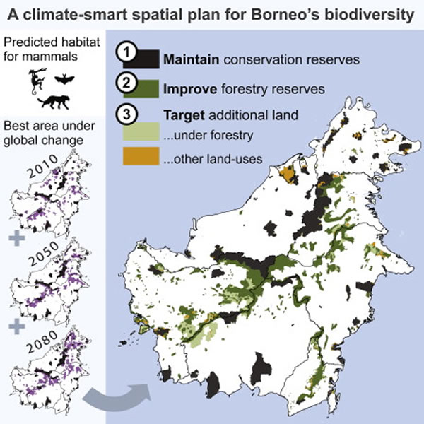 ������ϡ������Ŀǰ��ȡ����Եı�����ʩ����ϣ��